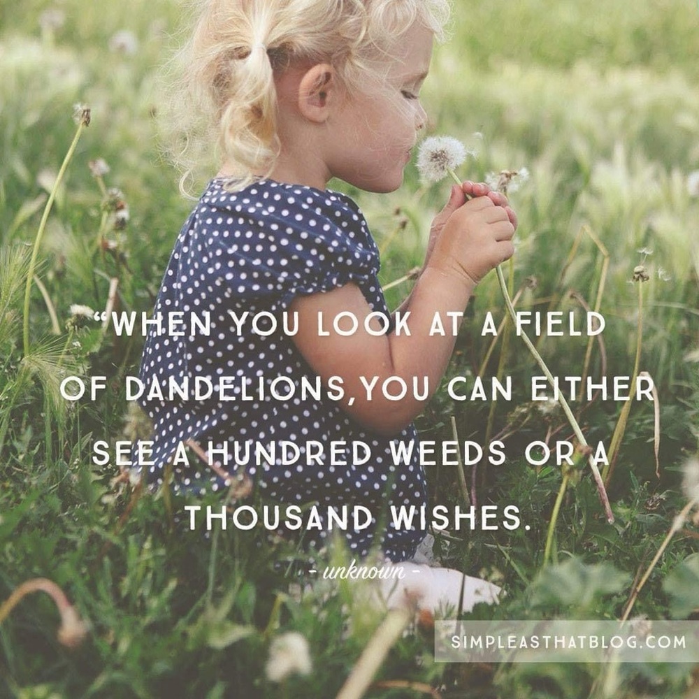 Meet your Posher, Trends Trove!